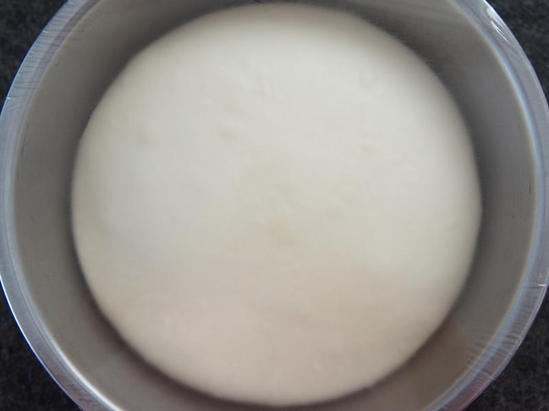 ����ī�������������