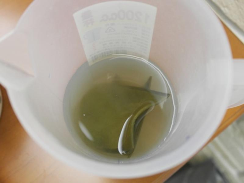 ��ʽĵ�ô���~~�Խ��󺣵�����ζ��!!������