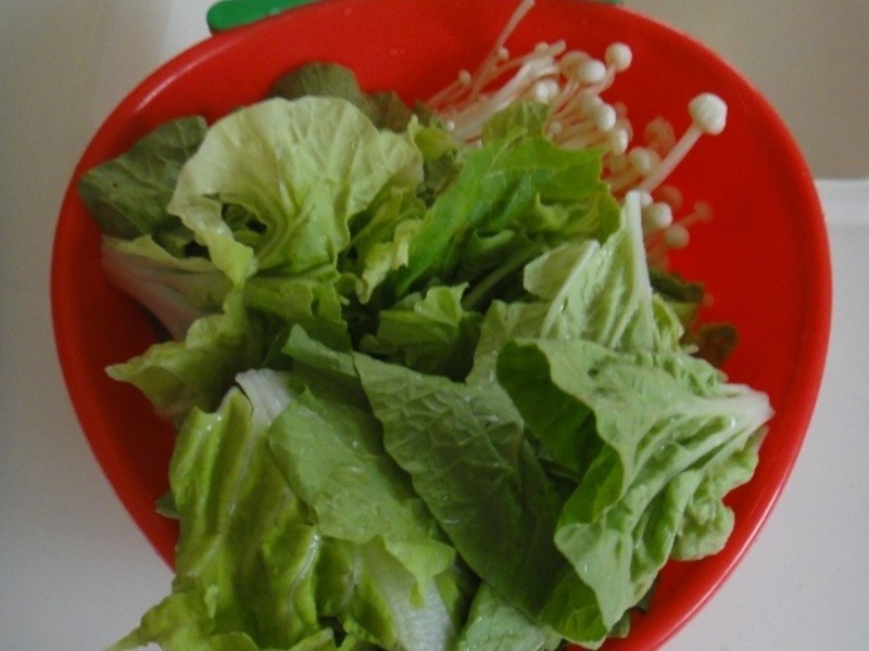 ʲ����ɳ���������