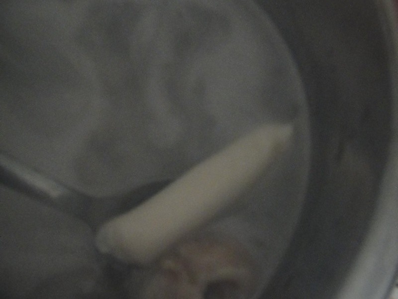 ʲ����ɳ���������