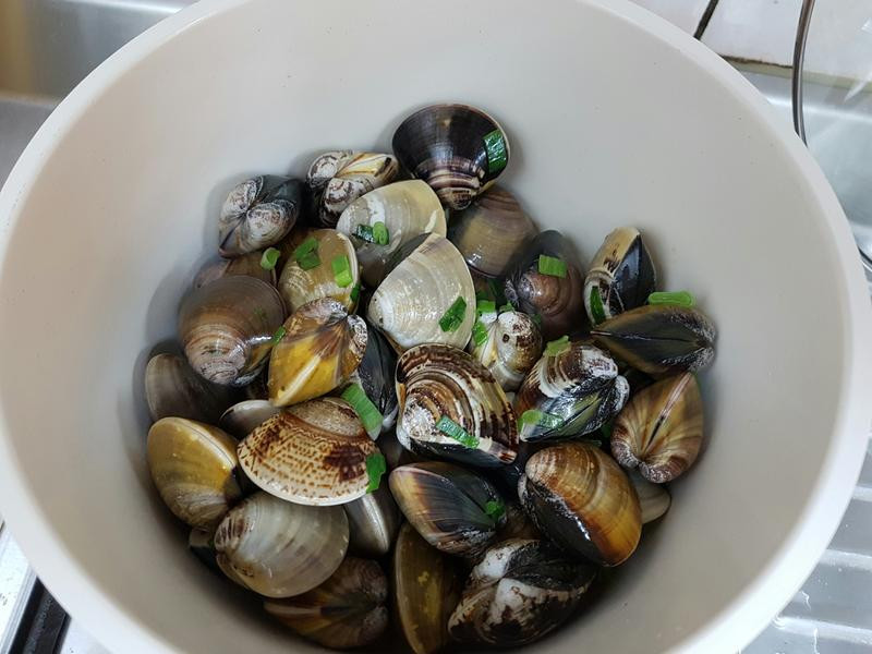 ��ʽ���͸��۵�����