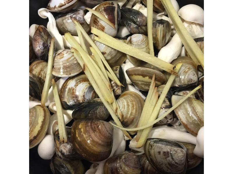 �����������۵�����