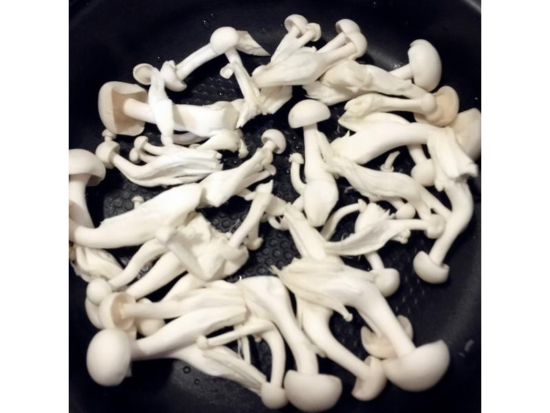 �����������۵�����