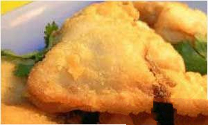 ֥�����ŵ�����