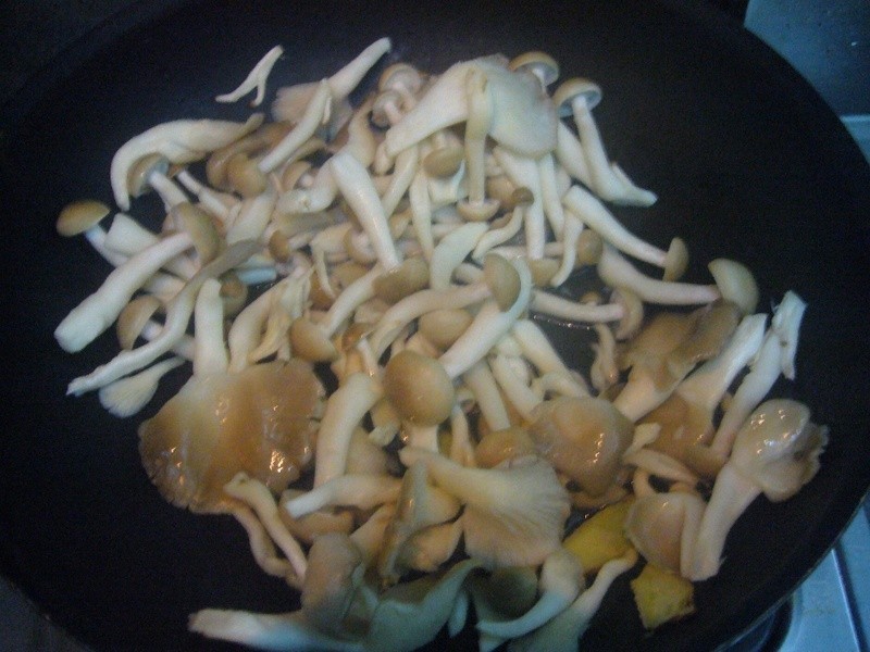 ̩ʽ���������������