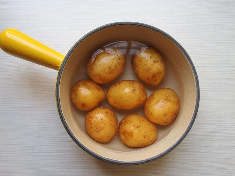 �����������������