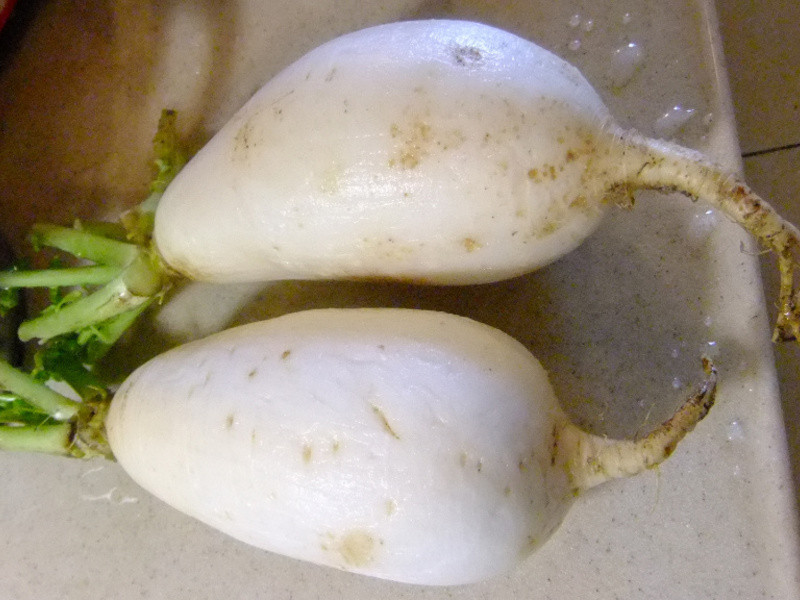 ���ܲ��������