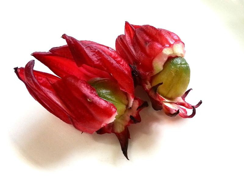 ��Ȼ�л����񻨲������