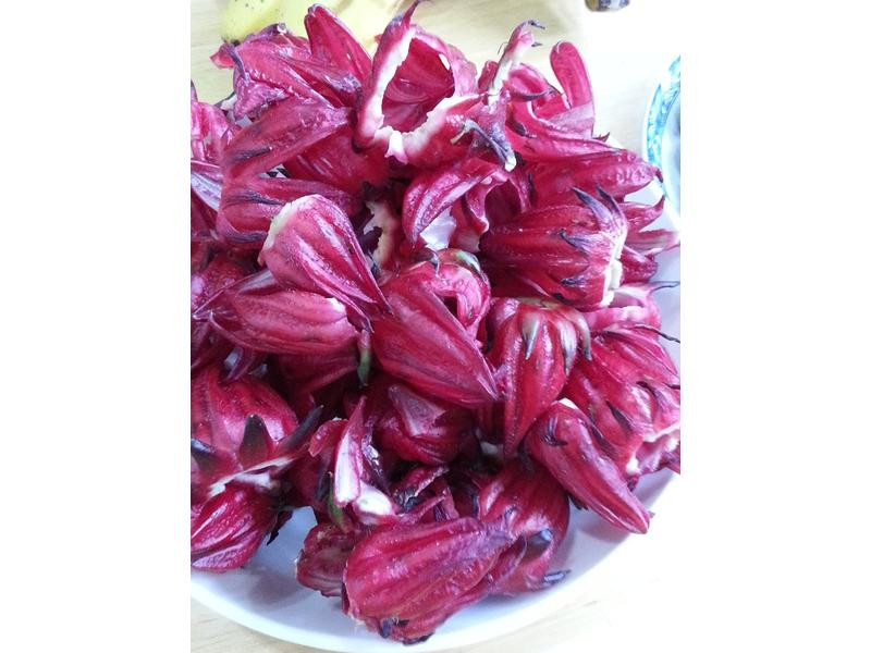 ��Ȼ�л����񻨲������