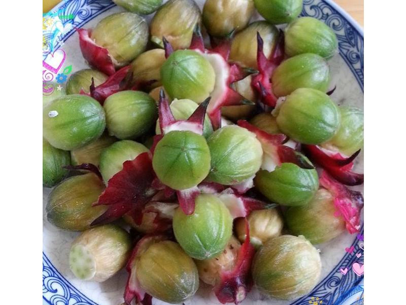 ��Ȼ�л����񻨲������