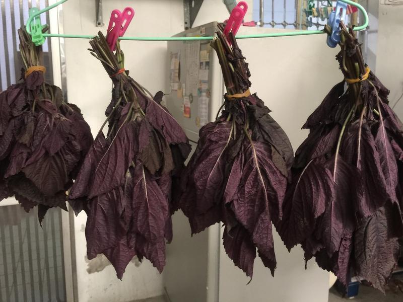 ����ˬ��ġ������Z�ܲ���������