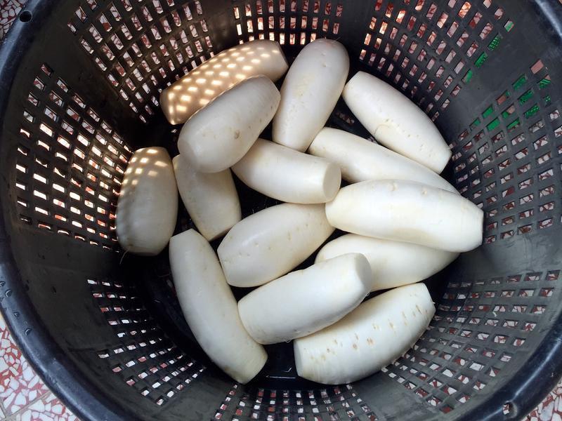 ����ˬ��ġ������Z�ܲ���������