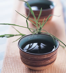 ��ĸ�ݲ������