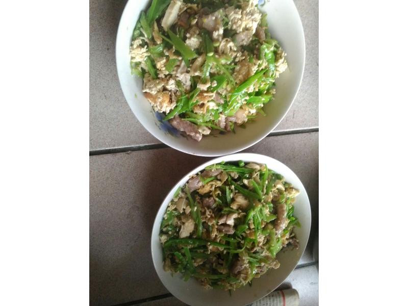 �߱��˵�����