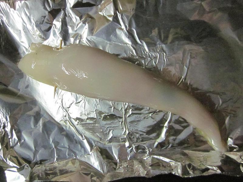 ��Ϻ��֦��������