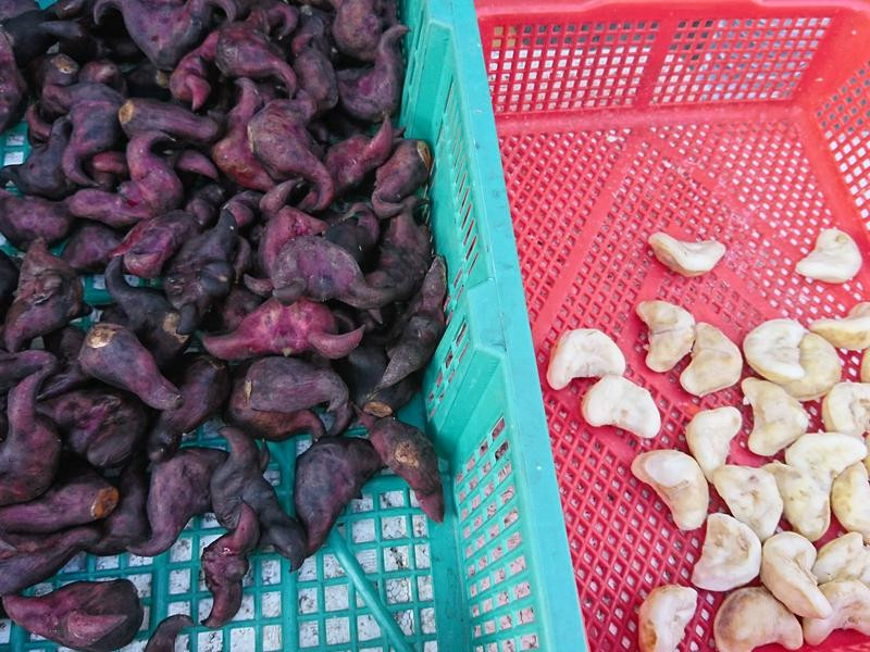 ����ֵ�����