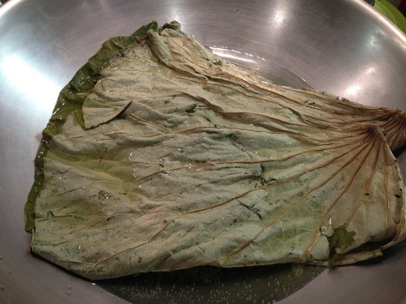 ��Ҷ�㹽����������