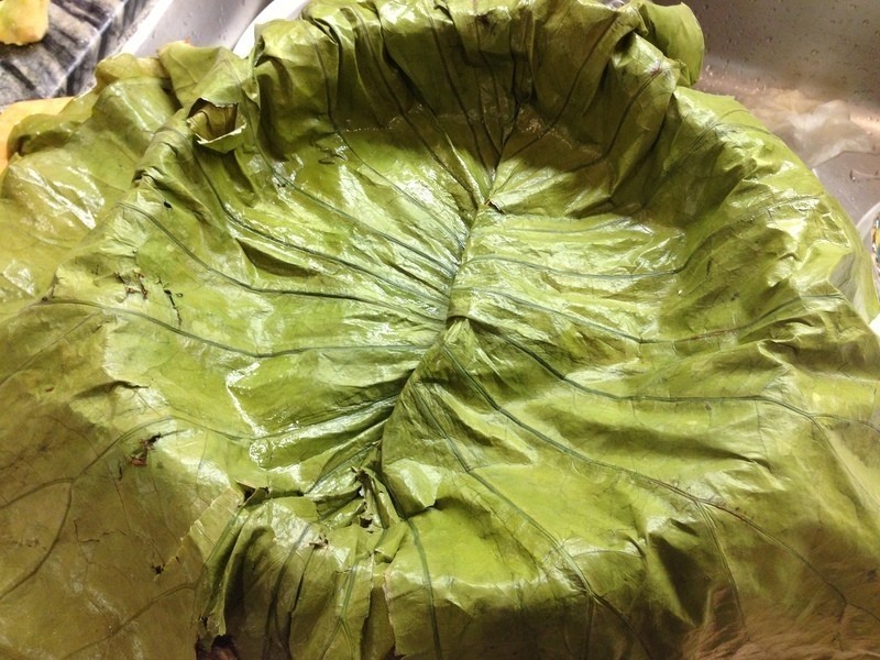 ��Ҷ�㹽����������