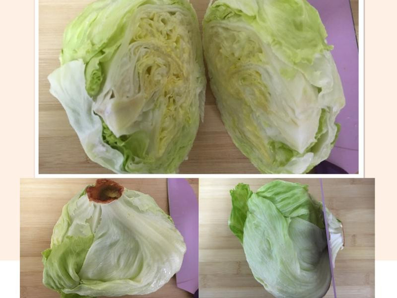 ݫ����������