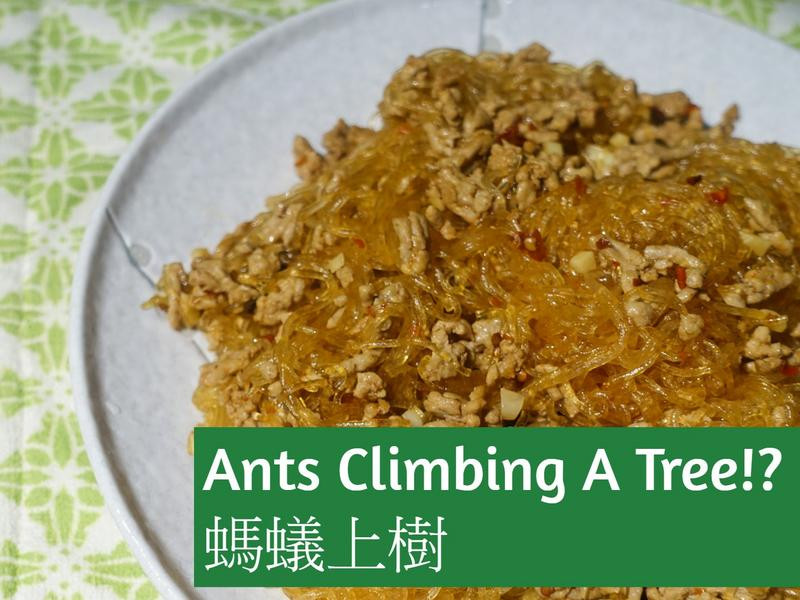 ����������������