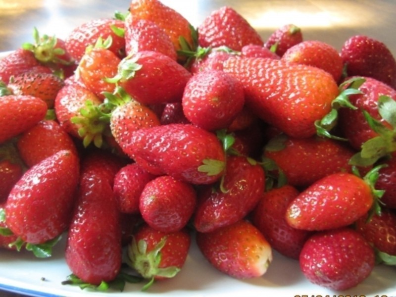 ���ƹ���2---��ݮ����������