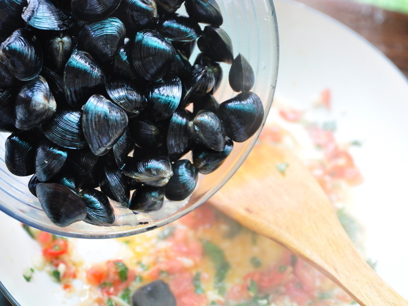 ���Ѷ����㳴��������