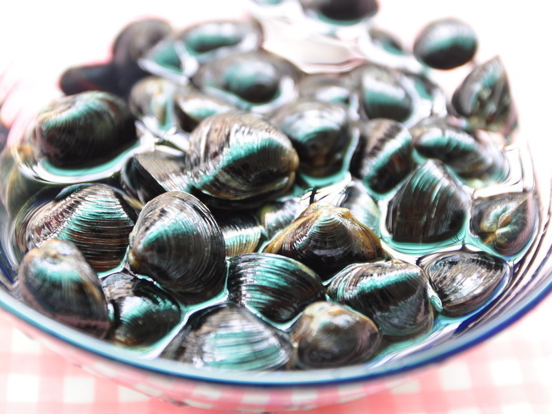 ���Ѷ����㳴��������