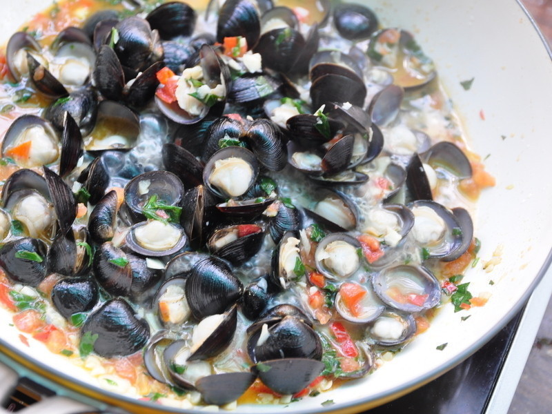 ���Ѷ����㳴��������