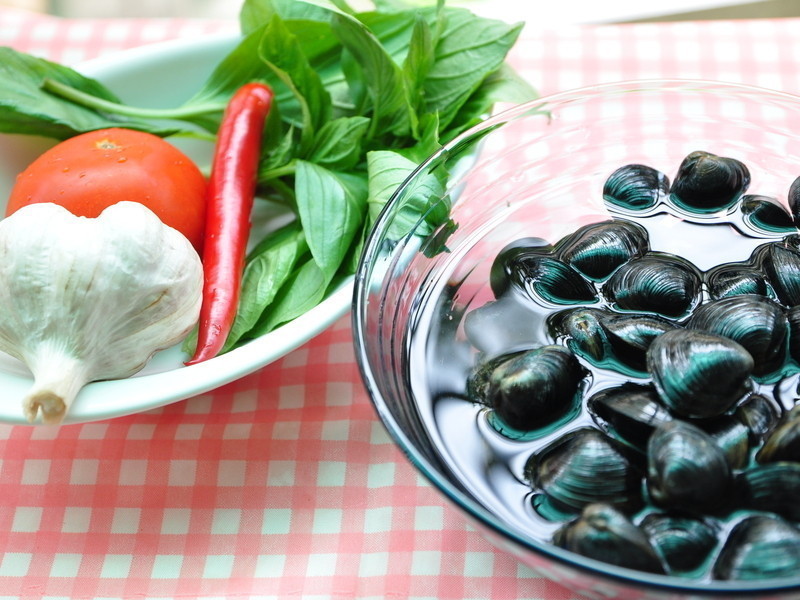 ���Ѷ����㳴��������