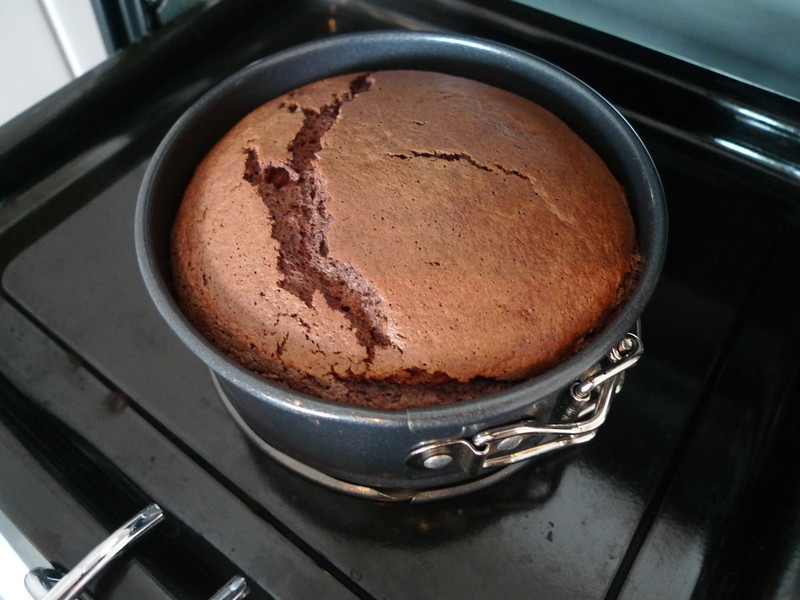 �ɿ�����������ݮ���ĵ�����