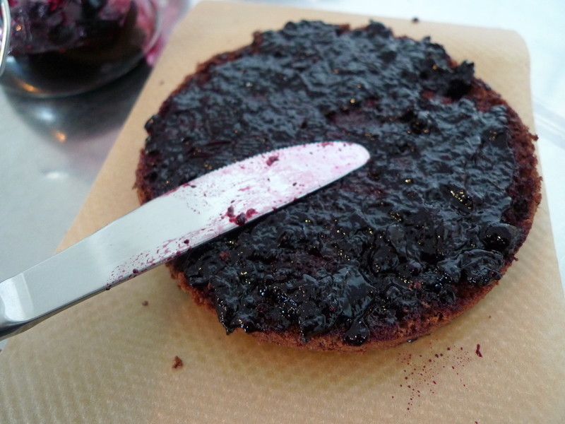 �ɿ�����������ݮ���ĵ�����