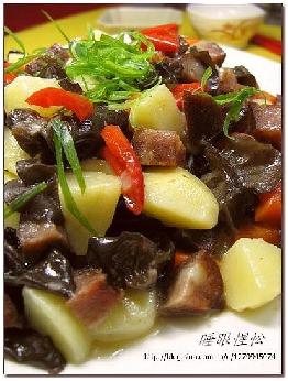 ľ��������Ѭ��������