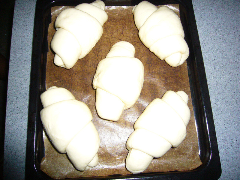 �����������--10��������