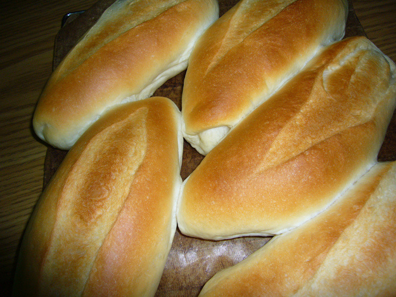 �����������--10��������