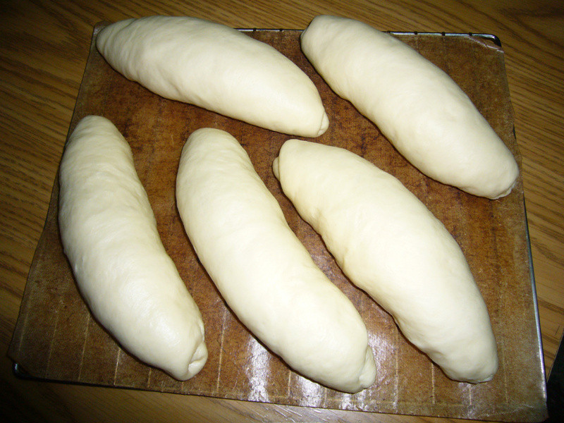 �����������--10��������