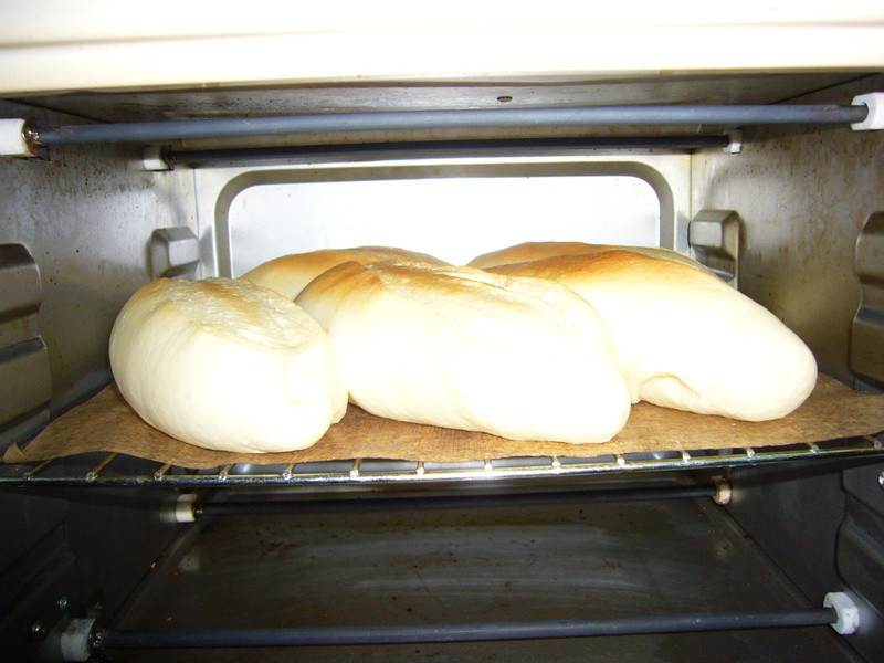 �����������--10��������