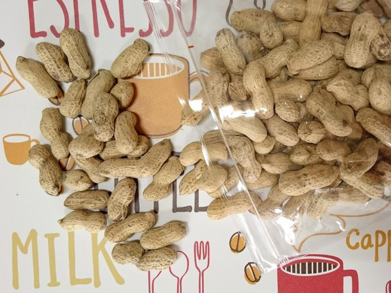 ����������������