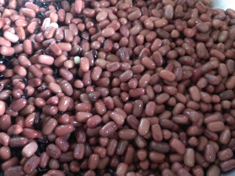 �춹���ױ��� (��������)������