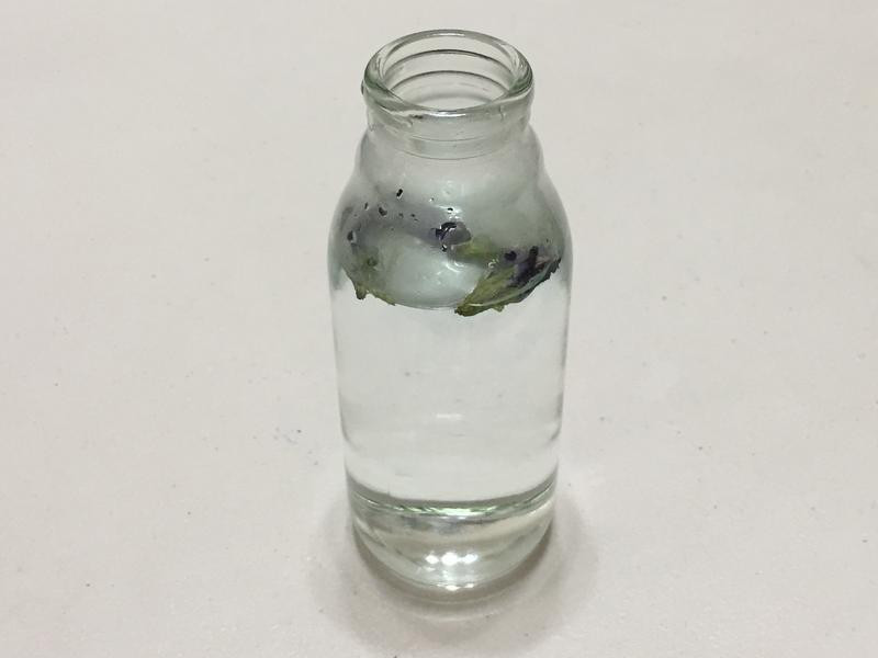 �����ϵ����������