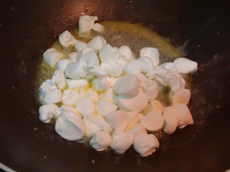 �ڷҵ�С����--ţ���Ǳ���(�ɿ���)������