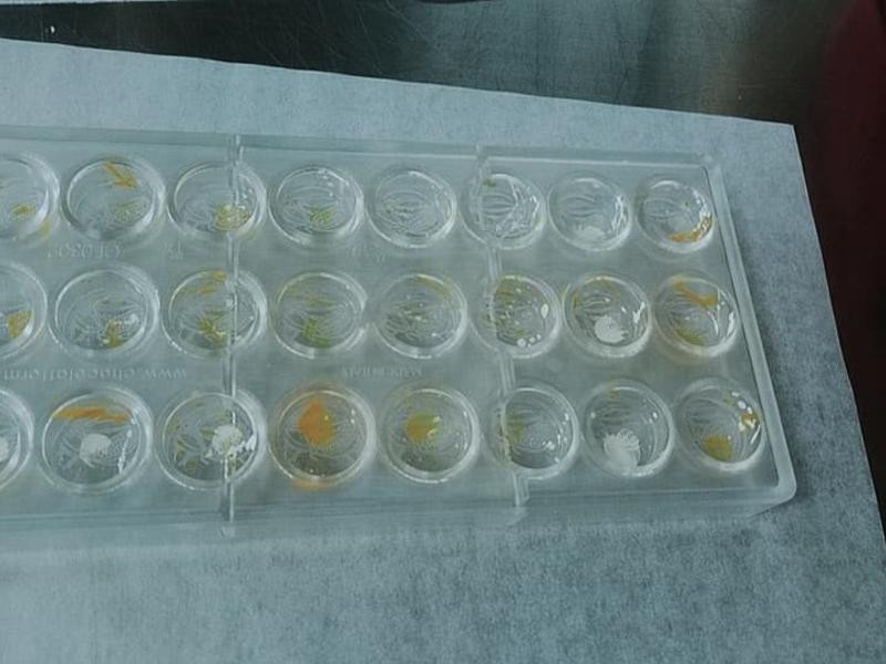 ��ծӣ���ɿ���������