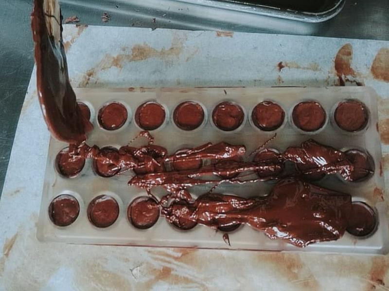 ��ծӣ���ɿ���������