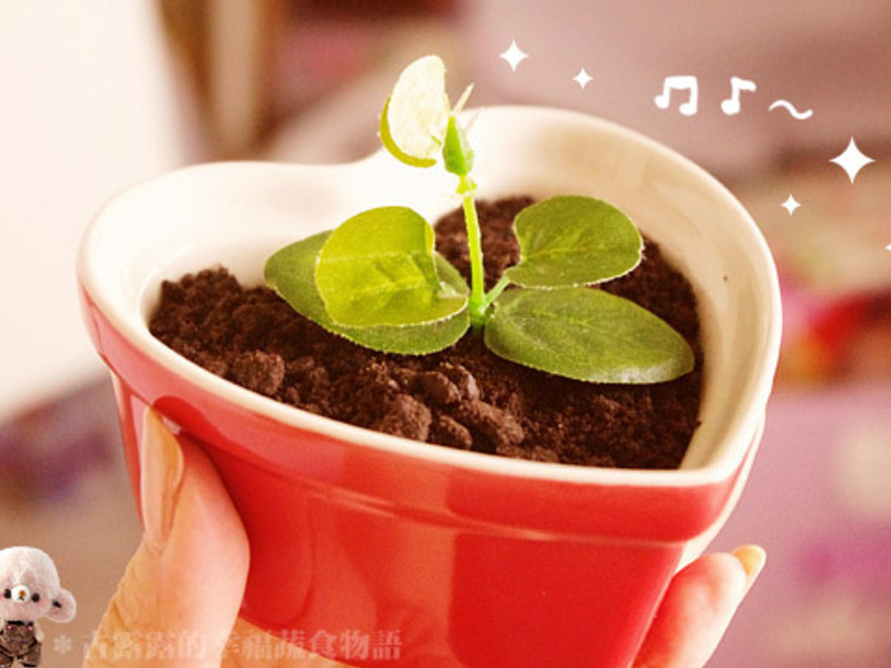 ���Ե��� DIY����¶¶��???��������