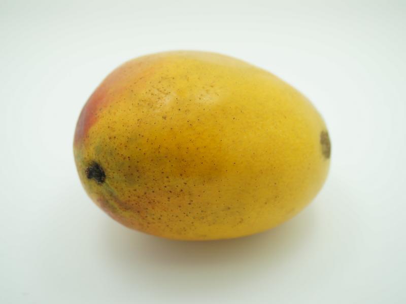 â���챴��(Ҳ�ܱ��ѩ���)������