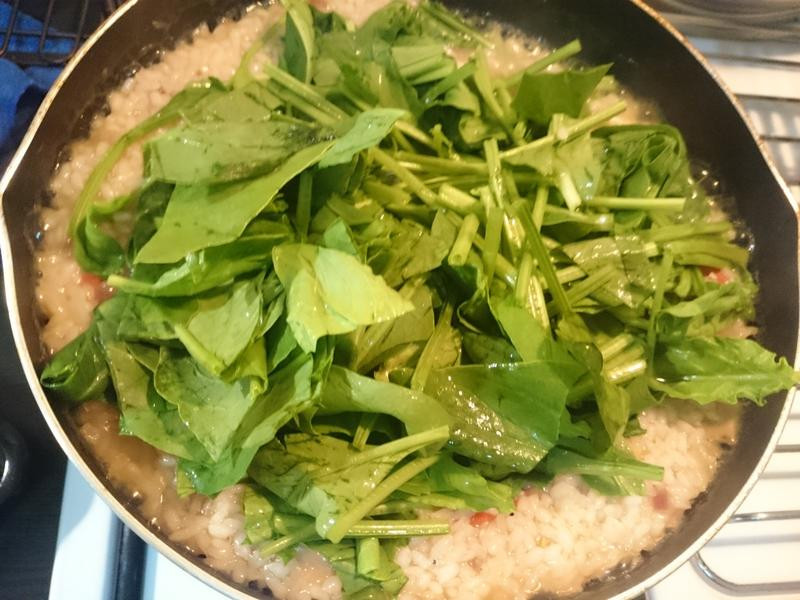 ެ�Ѳ���ţ������������