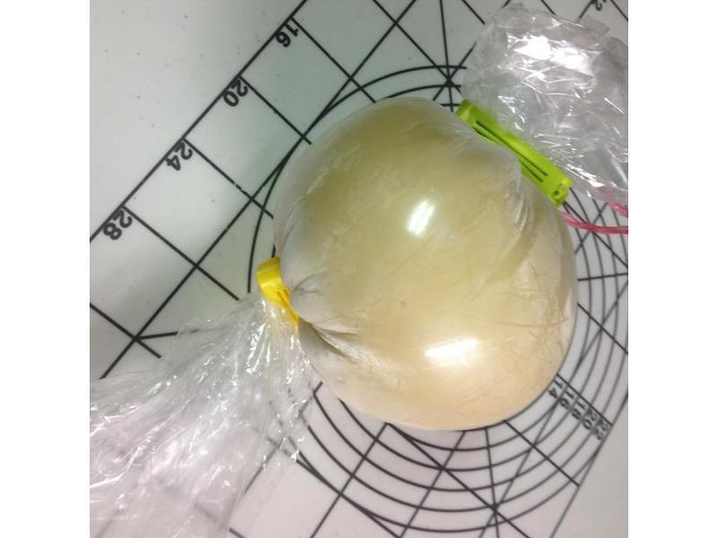 ������Ƭ���������