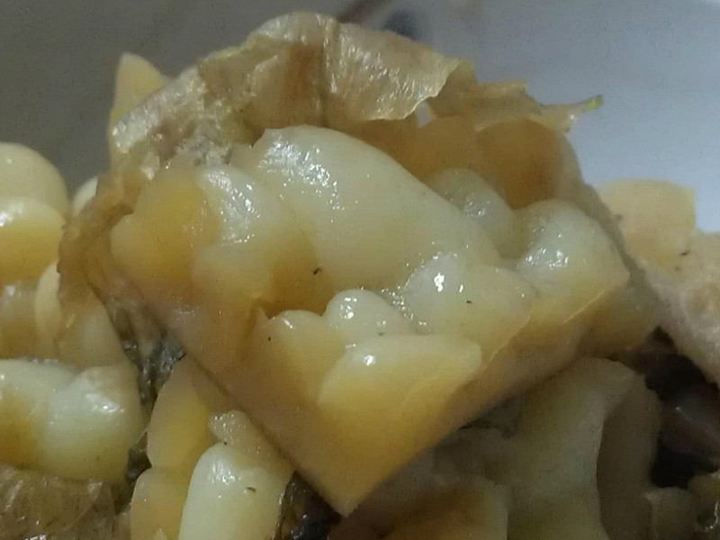 ÷�ɿ�ϵ�����