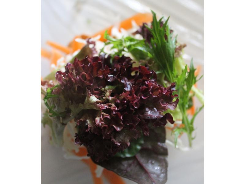 �����߲������ε�����