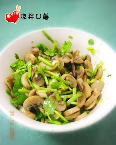 �����Ģ������