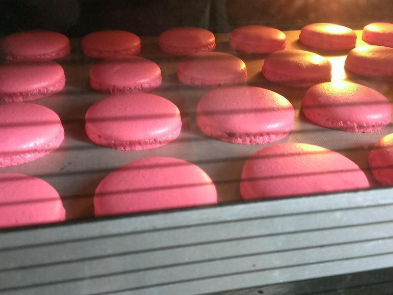 �������������������